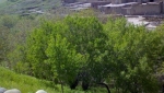 روستای تاریخی صور