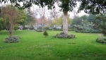 پارک بانوان
