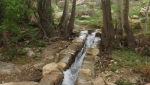 باغ جوزا