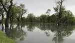 باغستان سنتی 