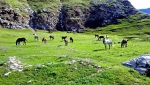 سینمای دره شهر