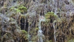 سینمای دره شهر