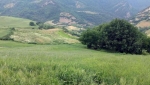 روستای قلعه قافه