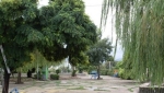 باغ تپه نارنج