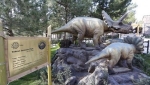 پارک ژوراسیک (دایناسور های متحرک)