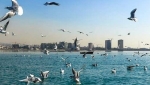 دریاچه مصنوعی خلیج فارس (چیتگر)