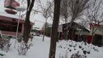 پایانه مسافربری