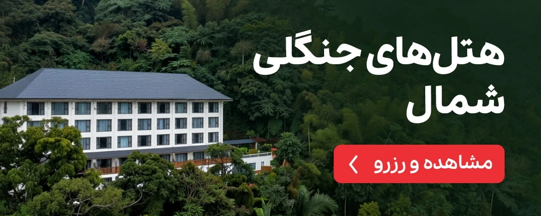 هتل های جنگلی