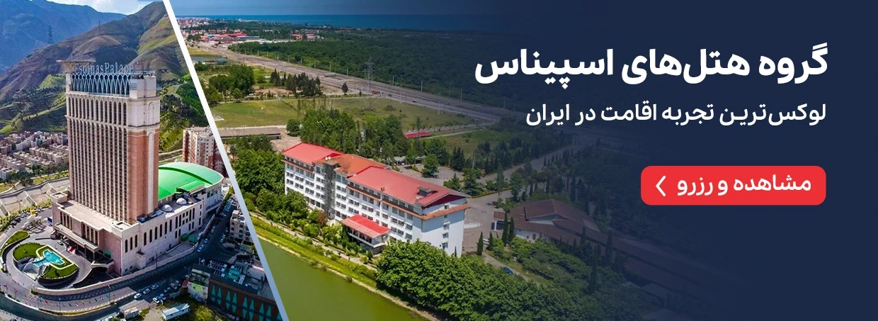 گروه هتل های اسپیناس