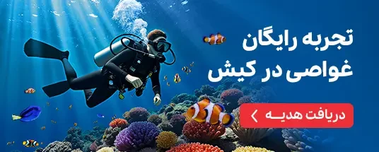 تجربه رایگان غواصی در کیش