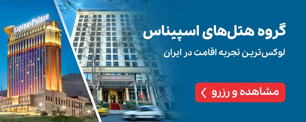 گروه هتل های اسپیناس