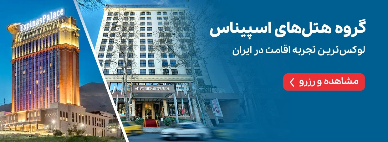 گروه هتل های اسپیناس