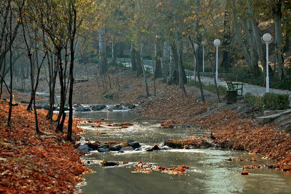 پارک جنگلی وکیل آباد مشهد