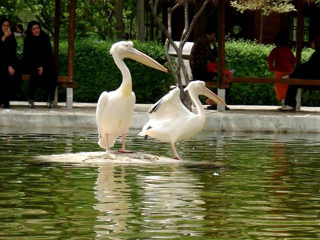 باغ پرندگان در اصفهان