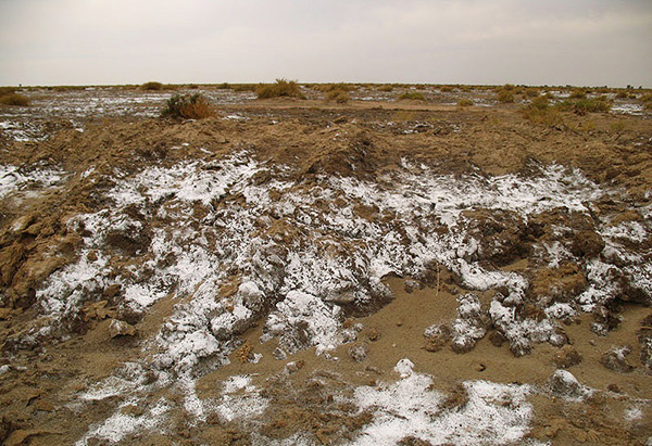 کویر بالی مصر