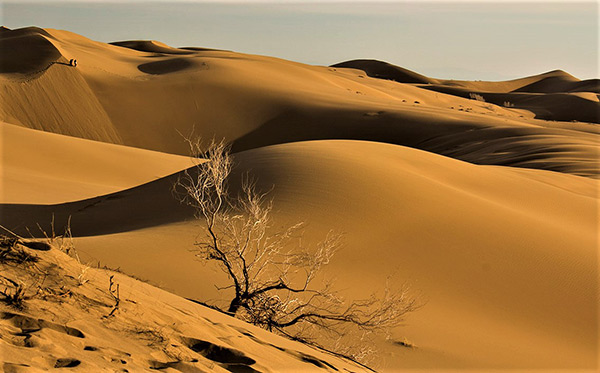 کویر بالی