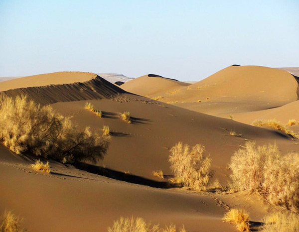 کویر بالی مصر