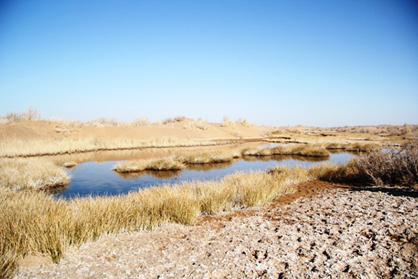 کویر بالی مصر