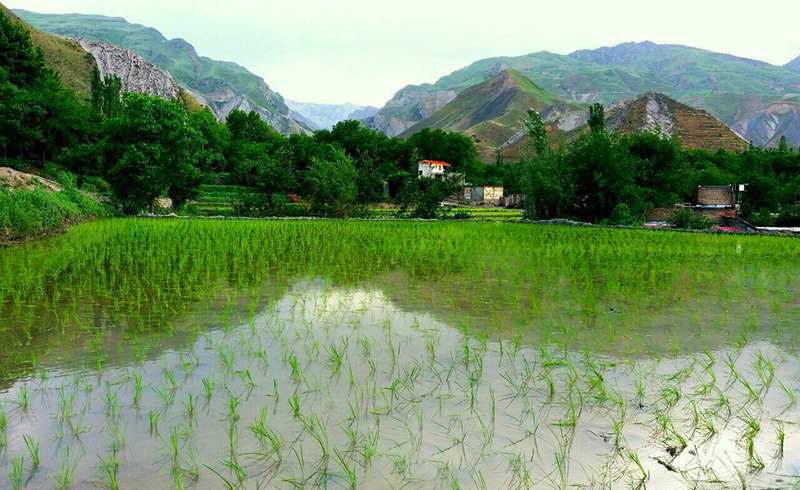 روستای ایدلیک