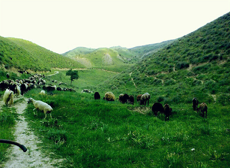 روستای ایدلیک