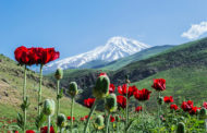 آشنایی با دره های زیبای ایران زمین