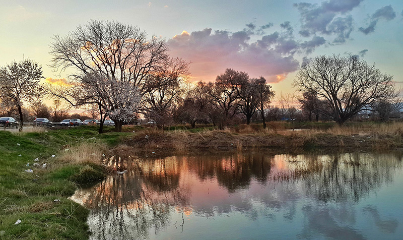 باغستان سنتی قزوین