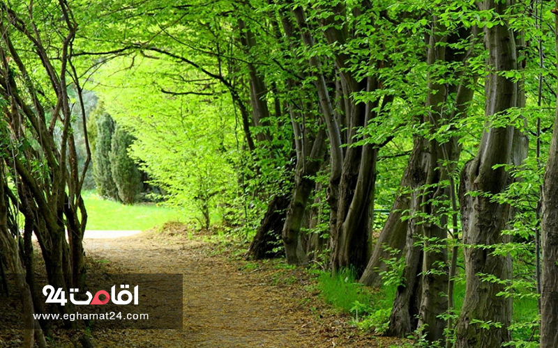 برای آرامش فکری کجاها بریم 