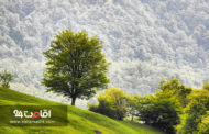 مقاصد خنک برای سفرهای تابستانی – بخش دوم
