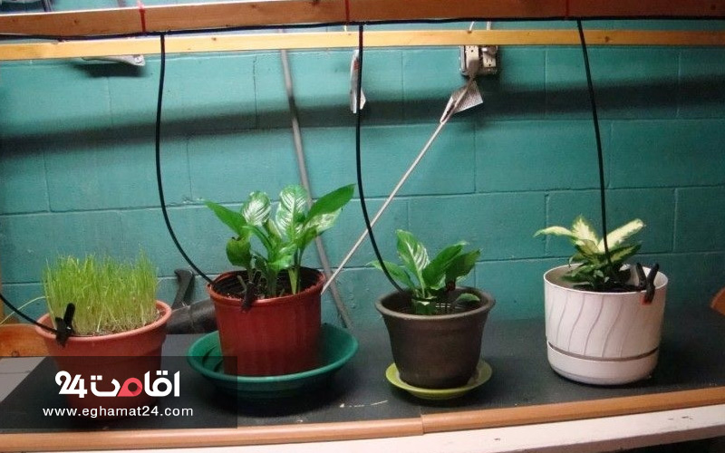 سفر 