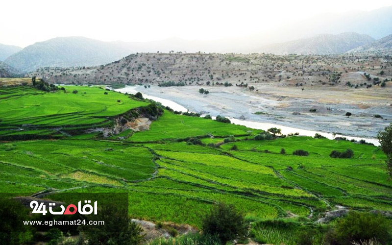 باغ ها و شالیزارها
