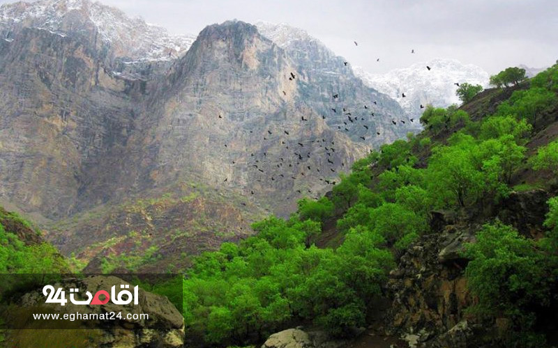 دره عشق کجاست