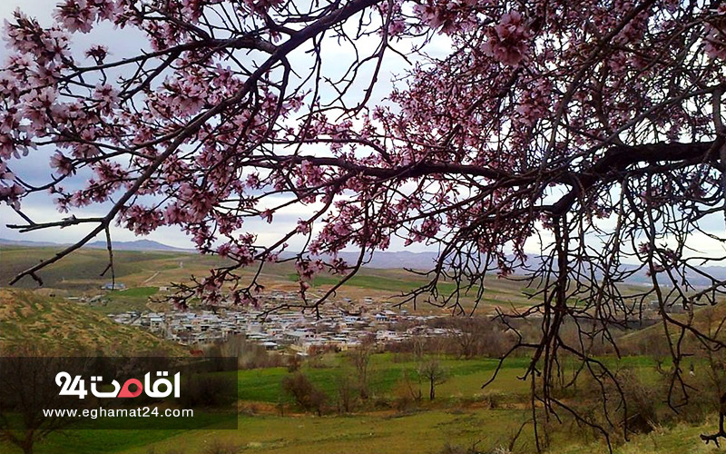 روستای کرکی خان