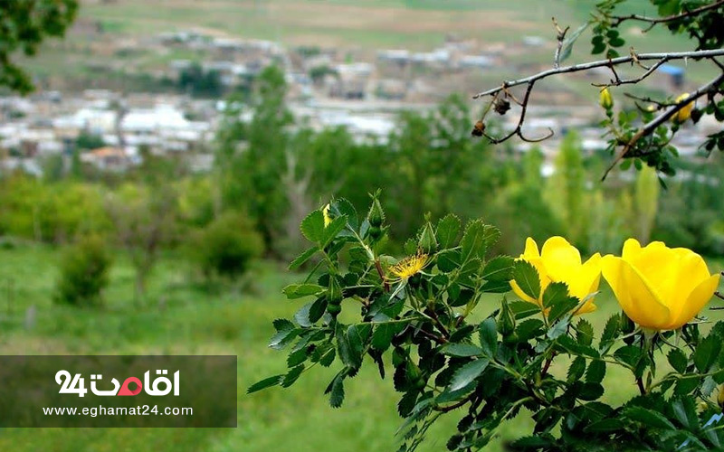 روستای کرکی خان