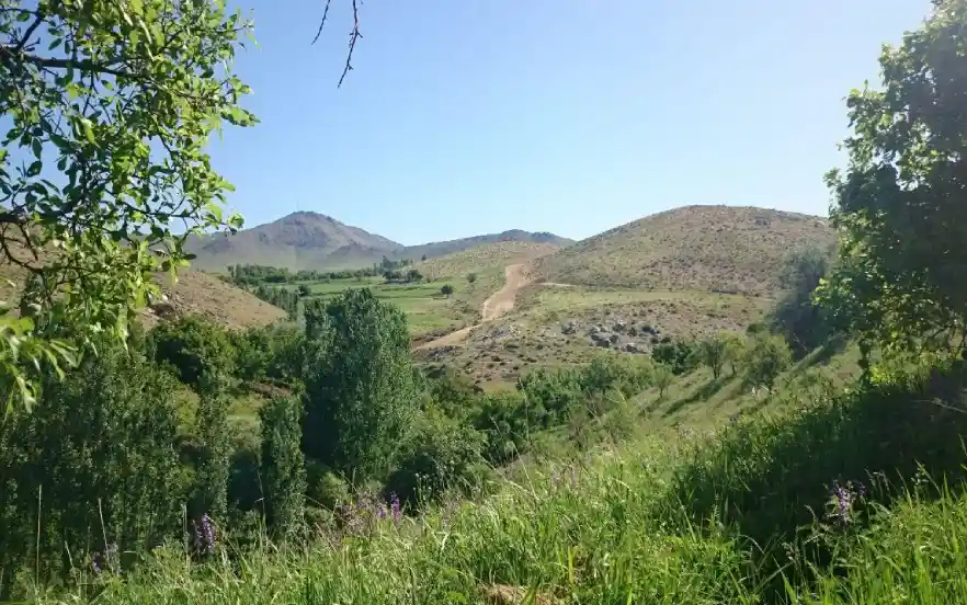 روستای چنارستان یکی از خوش‌آب‌وهواترین دیدنی های بروجرد