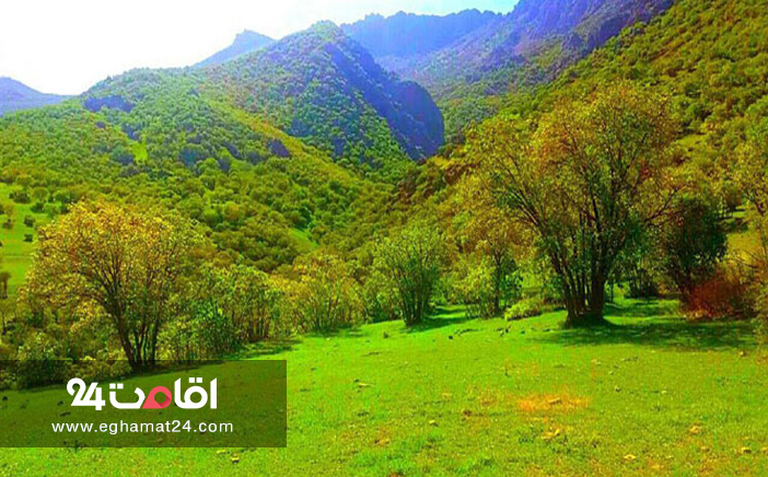 روستای سر مرغ سفلی 