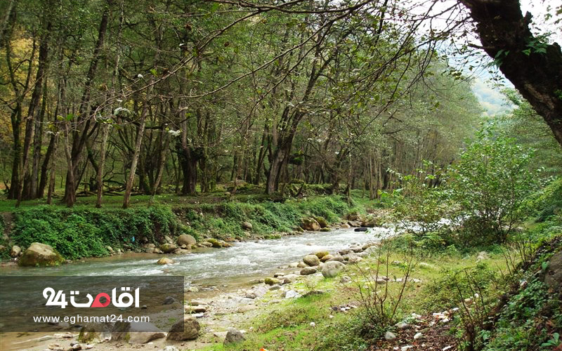 پارک جنگلی فین چالوس