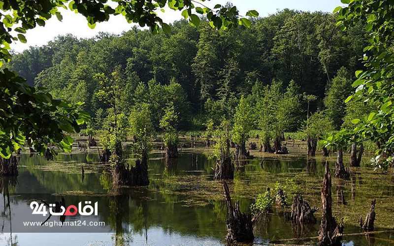  دریاچه ممرز