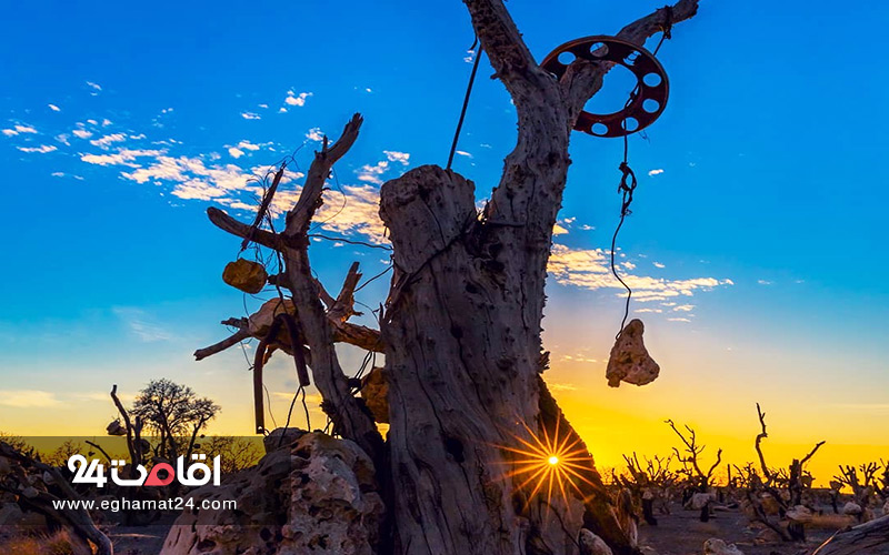 باغ سنگی درویش خان کرمان