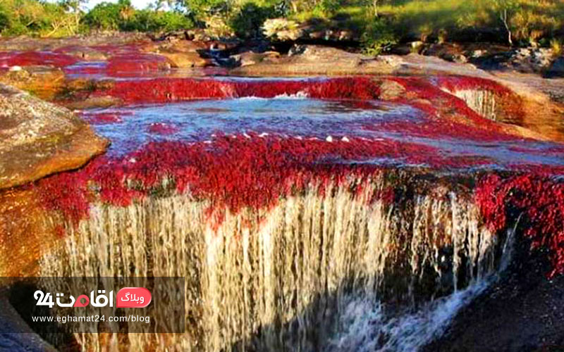 7colors lake