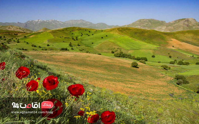 chehel cheshmeh Mountain 2