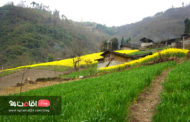روستای زرگر قزوین روستایی خاص در ایران