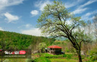 روستای شهران ؛ بهشت گم شده گیلان