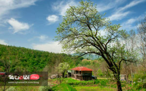 روستای شهران