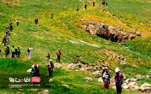 قوانین طبیعت گردی