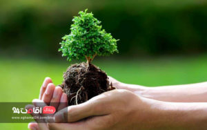 قوانین طبیعت گردی