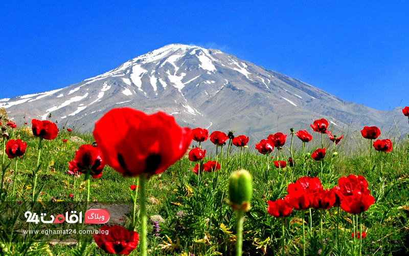 damavand 1