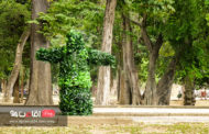 روش های استتار در طبیعت