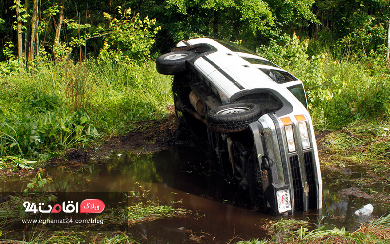Car in the swamp