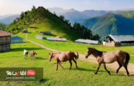 بهترین جای شمال برای مسافرت