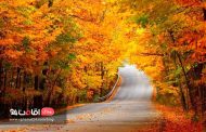 توسکستان ، بهشت کمتر شناخته شده دامنه های البرز